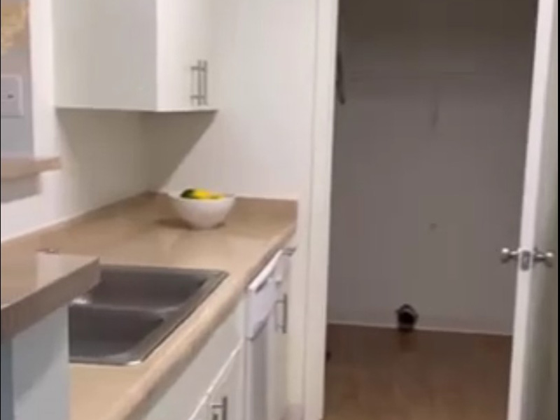 Three Bedrooms & Two Bathrooms